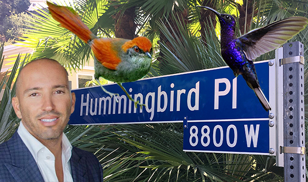 pinto bird